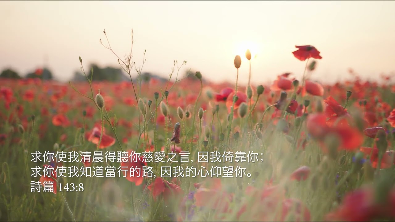 等候神音樂 Wait Upon God Soaking Music 2022 Episode 5