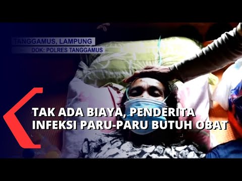 Video: Adakah pain yang dirawat tahan terhadap anai-anai?