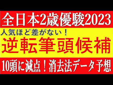 全日本2歳優駿2023（川崎競馬）⚠️10頭に減点！消去法データ予想