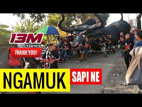 sapi raksasa  karnaval sambijajar