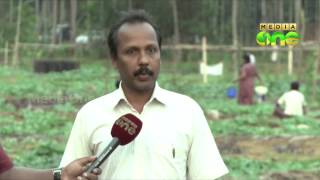 Ramalloor a model village in kerala for agriculture
