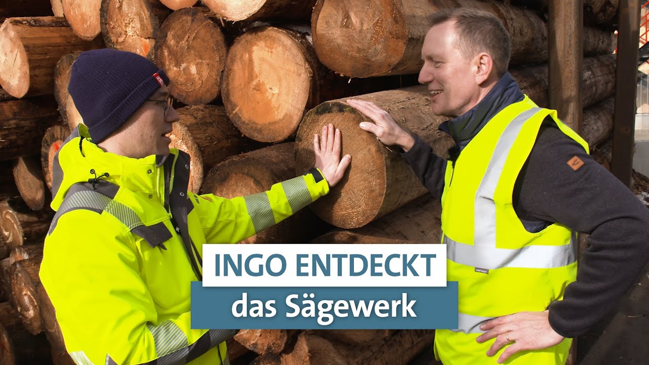 Die Holzmacher | Ingo entdeckt | LIGNA.TV #holz #sägewerk