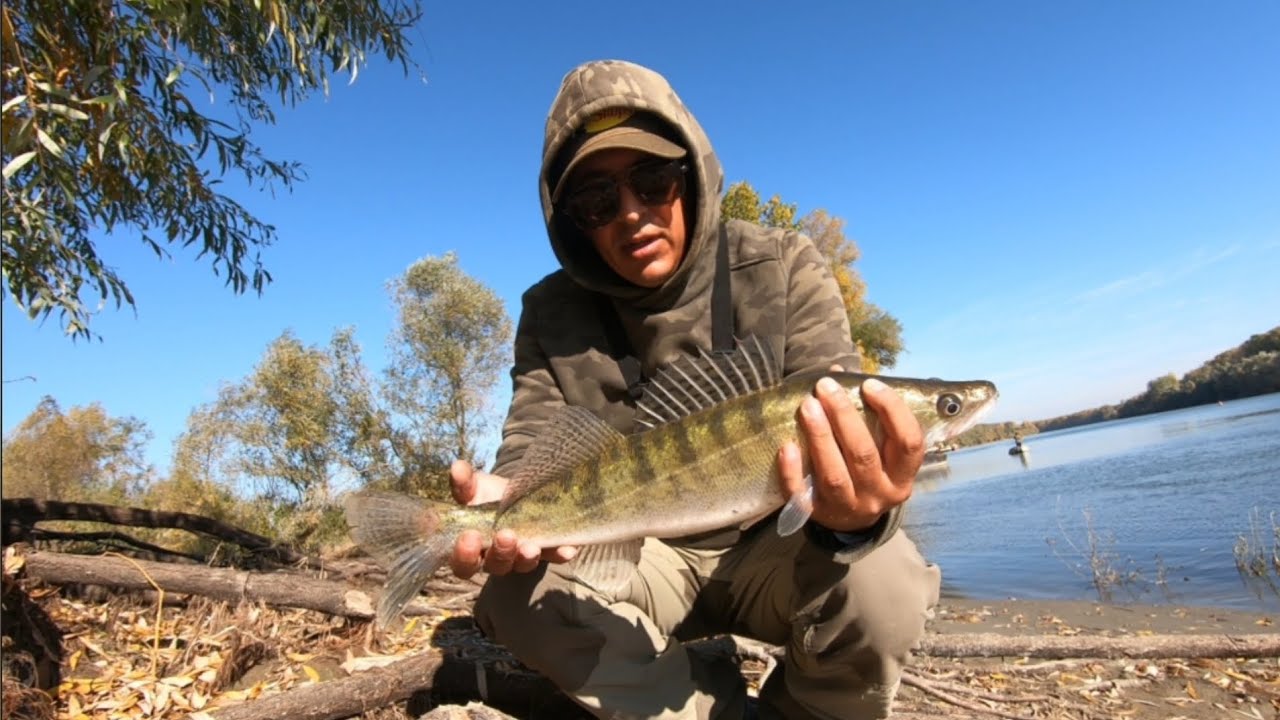 PESCUIT LA DUNARE , spinning de pe mal la Salau