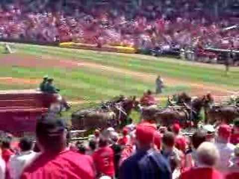 Anheuser-Busch Clydesdale at the Ball Game