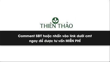 Tóc bị rụng nhiều đã có dầu gội thảo dược Thiên Thảo_[myphamthienthao.vn]_0282 220 7766