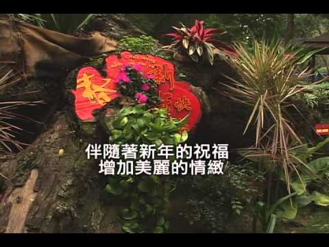 春天的呼喚.avi