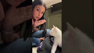 ANA CASTELA GANHAR GATINHO EM SHOW #anacastela