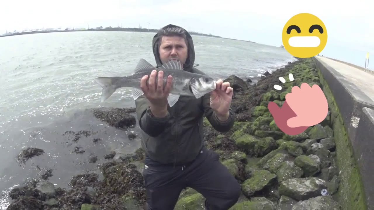Sea bass fishing from shore Kıyıdan at çek levrek avı YouTube