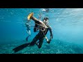 Spearfishing Giant Lobster in the Bahamas! (Catch and Cook)