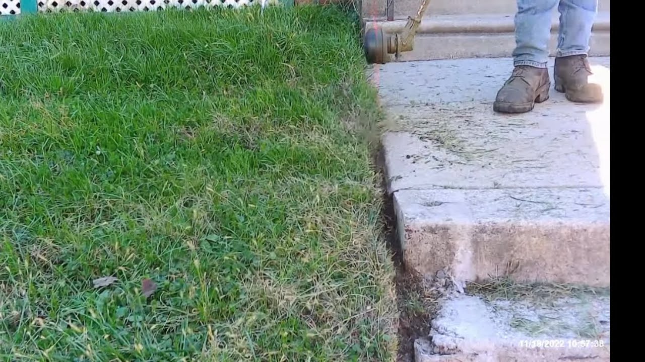 WHIPPING OVER GROWN YARD INTO SHAPE Real Time Lawn Care YouTube whipping-over-grown-yard-into-shape-real-time-lawn-care-youtube