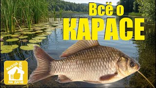 Карась