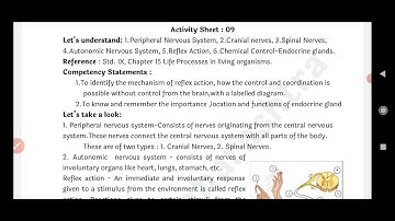 10 th science 2 activity sheet 9 bridge course