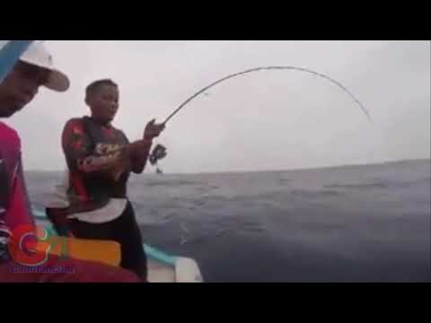 mancing-seru-dikira-dapat-tenggiri-taunya-ikan-tuna