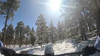 Shadow Pine Loop (Counter clockwise) 