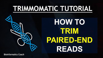 Paired-End Read Trimming with Trimmomatic | Paired End Reads | Single Sample