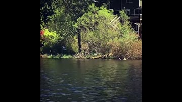 Al-Anon: One Day at a Time - May 14, Part 2 - Acceptance