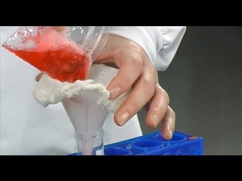 Video: Varför är det nödvändigt att mosa jordgubbarna i DNA-extraktion?