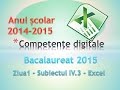 Bacalaureat 2015 - Competente Digitale ziua 1 - Subiectul IV. 3 - Excel 2010