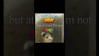 But at Least I'm Not Stupid