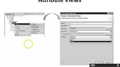 SAP HANA Attribute View