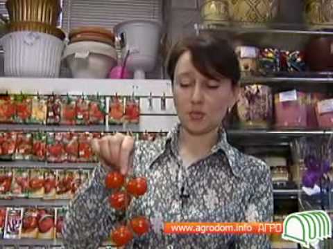 Лучшие сорта томатов