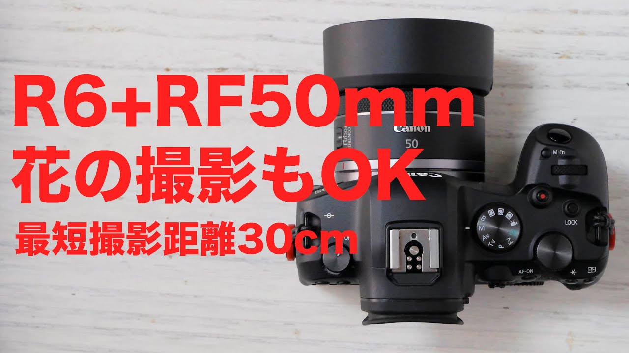 Canon Eos R6 Rf50mm F1 8 Stmで花撮影 Youtube Canon Eos R6 Rf50mm F1 8 Stmで花撮影 Youtube