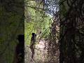 African Tribal Hunter’s Real Life | Traditional Tracking & Cultural Survival Skills. #shorts #usa