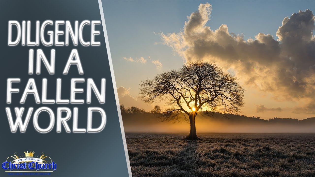 GOCC: DILIGENCE FOR RISING IN A FALLEN WORLD