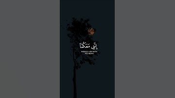 مقاطع قرانية آيات مريحة للقلب تلاوة عطرة بصوت جميل 🍃🖤