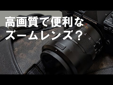 Panasonic LEICA convenient zoom lens purchase. Is it the best lens