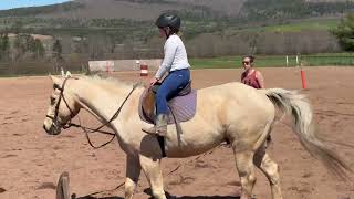 Horseback riding lessons | My Second one!
