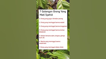 golongan orang yang mati syahid #shorts #matisyahid #storyislami