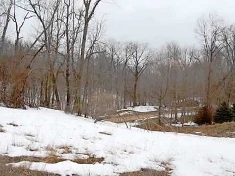 06 Curtis Rd, Addison Twp, MI home video tour