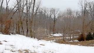 06 Curtis Rd video tour