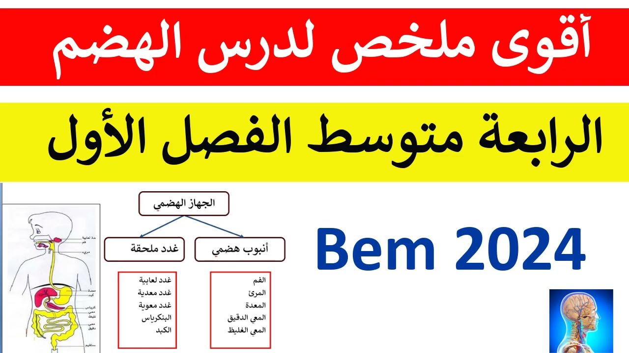 أقوى 💪ملخص لدرس الهضم السنة 4 متوسط ❌الدرس1 في العلوم الطبيعية بيام2024
