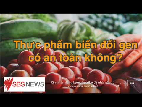 Tạp chí Khoa học : Thực phẩm biến đổi gen có an toàn không? - youtube