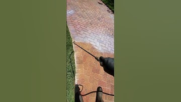 Professional Paver Sealing, driveway pavers flooded with the best paver sealer money can buy
