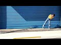 オモイオモワレ XinU (ティザー)