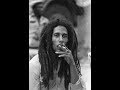 Bob Marley Ft Chuck D Survival A K A Black Survivors Chant Down Babylon Remix mp3