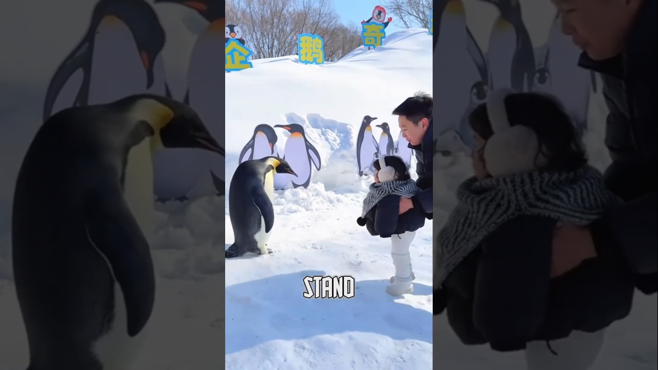 GUINESS WORLD RECORD 