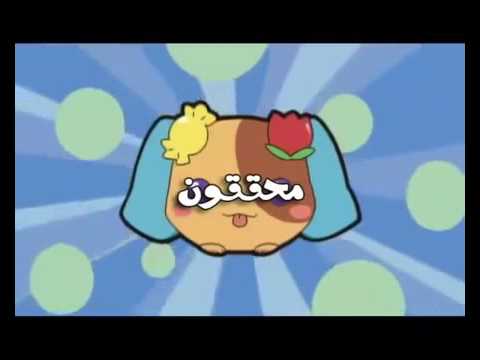 محققو الحيوانات شارة البداية