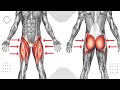 Improve Blood Circulation to the Pelvic Region
