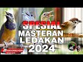 MASTERAN SPESIAL LEDAKAN 2024 KOMPILASI MEWAH UNTUK SEMUA JENIS BURUNG MURAI BATU DAN CUCAK IJO !!