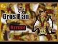 Summoners war  gros plan  ritesh