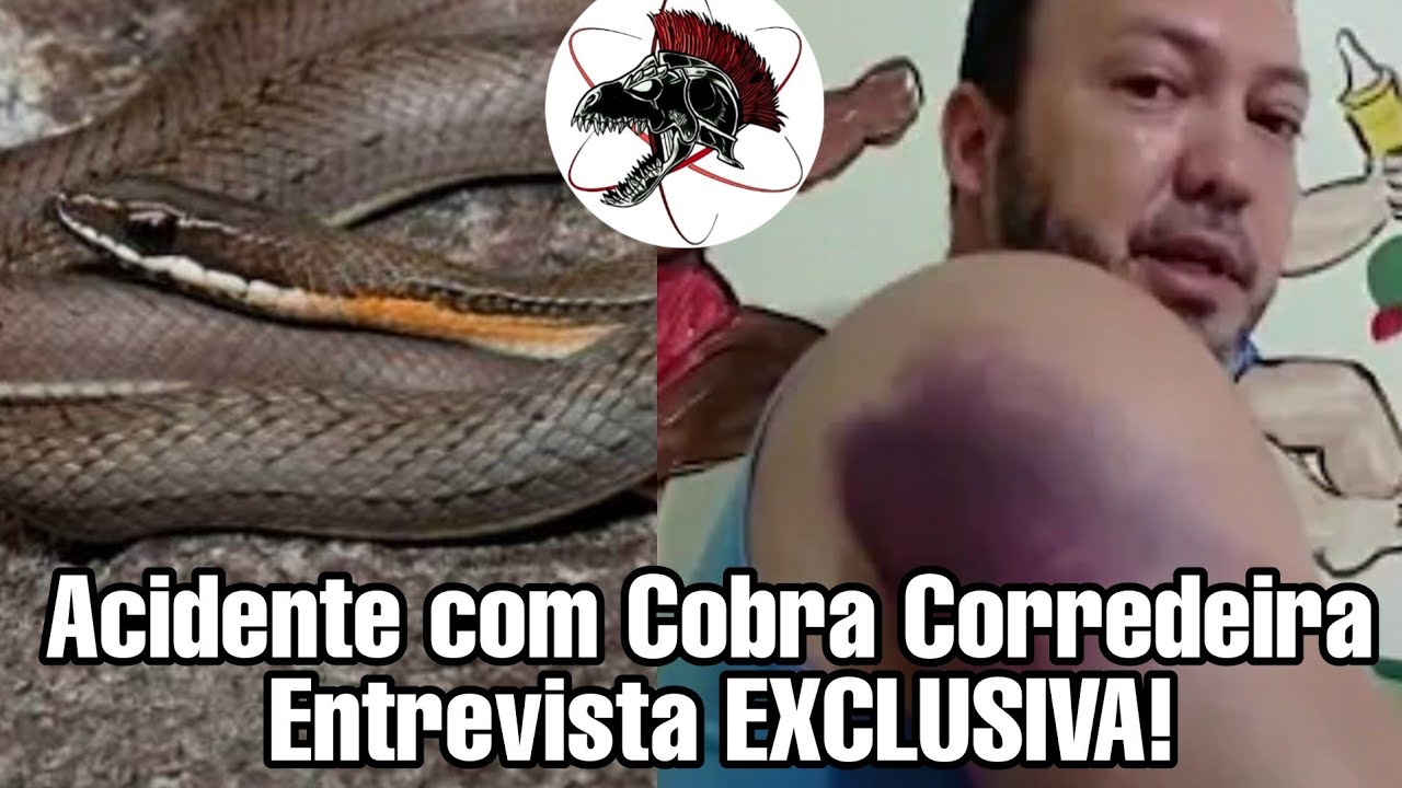 Acidente Cobra Corredeira Entrevista EXCLUSIVA! | Biólogo Henrique o Biólogo das Cobras