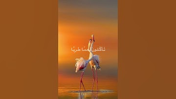 وما يستوي البحران هذا عذب فرات سائغ شرابه (تلاوة من سورة فاطر )🌹قرآن كريم🌹القارئ محمد أيوب
