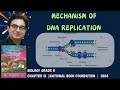 The Mechanism of DNA Replication
