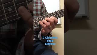 The Chromatic Scale Exercise Every Guitarist Should Practice!