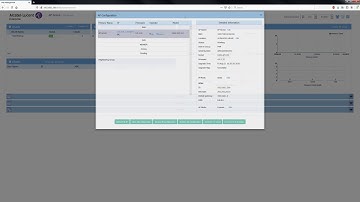 Stellar Express Auto Mesh