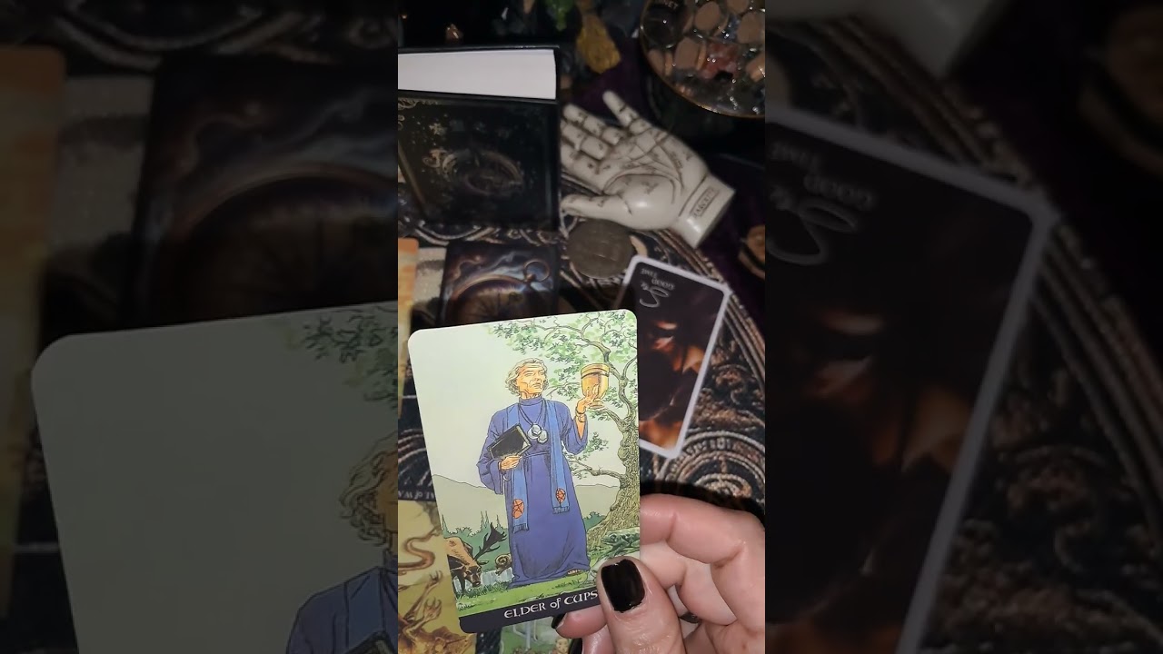 Jarac🌼🌼🌼Mart🌼🌼🌼